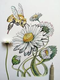 I believe that the other person will feel your sincere feelings.… Noelbadgespugh Flower Art Drawings Flower Drawing