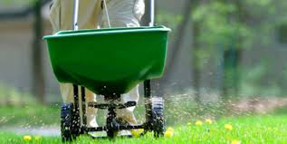A partnership with the state of alaska dnr facilitates additional exotic pest monitoring. Cornell Cooperative Extension Pest Management Turf