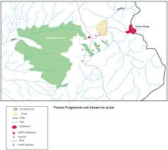 Image result for Anthonotha noldeae