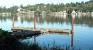 Devils Lake Monster