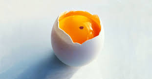 8 what can i use in place of eggs? Are Eggs With Blood Spots Safe To Eat