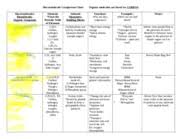 Biomoleculechartcompleted Macromolecule Comparison Chart