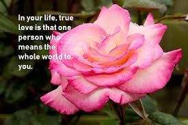 I love you like this because i don't know any other way to love. True Love Quotes To Make You Believe In The Power Of Love Bestinfohub