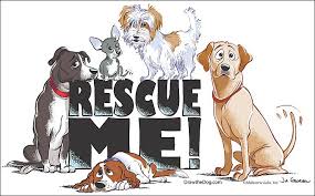 Get directions, reviews and information for superior termite control pico rivera in pico rivera, ca. City Of Pico Rivera Animal Rescue Network Home Facebook