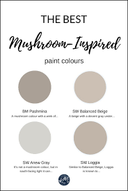 They both have those yellow undertones, but the beige in westhighland white makes it a bit more colorful (but yes, both are still extremely white ). The 5 Best Mushroom Inspired Paint Colours Benjamin And Sherwin Kylie M Interiors