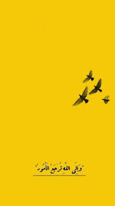 pin on صفراء ت ـــس ــر الناظرين