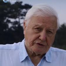 Born 8 may 1926) is an english broadcaster and natural historian. David Attenborough Attenboroughsir Twitter