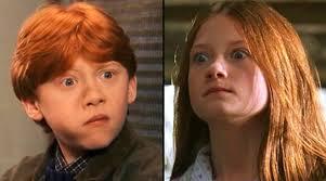 Harry potter animal quiz instructions: Quiz How Well Do You Remember The Weasley Family From Harry Potter Popbuzz