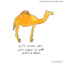 7 cheesy pickup lines to start up a conversation. A Daily Pickup Line I Bet You D Like To Ride Me