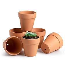 Once your cactus is potted you can pull off the newspaper or cloth. Potey Terracotta Flower Pot Clay Planter 4 1 With Drain Hole For Succulent Cactus Set Of 6 Buy Online In Guernsey At Guernsey Desertcart Com Productid 142383449