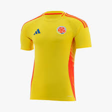 Camiseta Colombia 2024 Copa América post