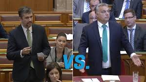 A zsigmond király főiskola politológiai szakán szerzett diplomát. Demeter Marta Ferje