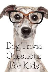 For many people, math is probably their least favorite subject in school. Dog Trivia Quiz For Children Answers Included Waggy Tales