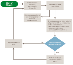 Stage 5 Flow Diagram Country Engagement Tool