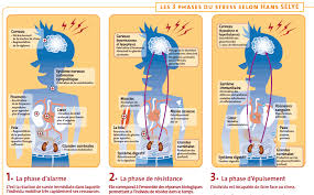 D?finition du stress au travail. Definition Stress Tout Sur Le Stress Test De Stress