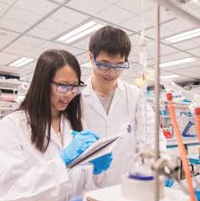 国际科研| 香港科大本科招生