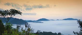 Virunga mountains straddling the borders of rwanda, uganda and democratic republic of congo, the virunga are not mountain range as such, but a chain of … Uganda Adventure Trekking Hiking Tours World Expeditions