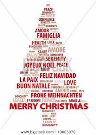 Merry Christmas In Different Languages 06 Jpg 337 470 Merry Christmas Christmas Cards Wording Greeting Words