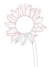 All of us love flowers. How To Draw A Sunflower Draw Central Sunflower Drawing Flower Drawing Sunflower Sketches