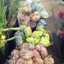 Maybe you would like to learn more about one of these? Produce Junction Farmers Market