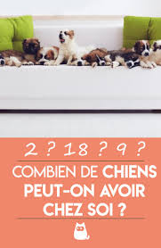 Combien De Chiens Peut On Avoir Chez Soi Conseils Et Reglementation Juridique Alimentation Animale Chien Chiens Et Chiots