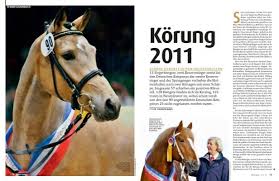 Prh baron aus der schützenden hand (baron aus der schützenden hand) benjamin / thunder cloud. Korung 2011 Pferd Sport