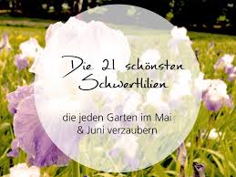 Die 21 Schonsten Schwertlilien Die Jeden Garten Im Mai Und Juni Verzaubern Irislandschaften Ch In 2020 Schwertlilie Lilien Garten