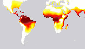 Jun 30, 2021 · ao menos 130 pessoas morreram no canadá, desde o início da semana, por causa da onda de calor intenso que afeta a américa do norte, de acordo com autoridades citadas pelos meios de comunicação do país. Ondas De Calor Afetarao Meio Mundo Literalmente No Fim Do Seculo Ecoa