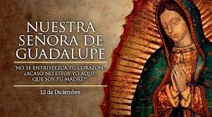 Querían exigir justicia y castigo al responsable del atentado contra la virgen de guadalupe. Santo Del Dia 12 De Diciembre Virgen De Guadalupe