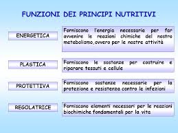 Se vuoi saperne di più leggi la nostra cookie policy. Alimenti E Alimentazione I Principi Nutritivi Docente Prof A Ppt Scaricare