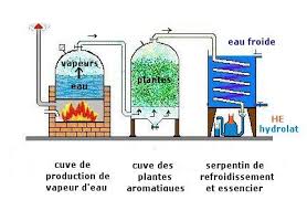 Fabrication Des Huiles Essentielles Alambic Huile Essentielle Huiles Essentielles Huile