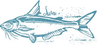Swai (White/Fish) | California Fish Grill