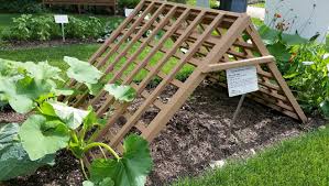 How to make tomato cages and tomato stakes in this video, we explain how to choose the best plant supports for both bush and vining tomato plants, and show how to make inexpensive. How To Deal With Too Much Rain In The Garden