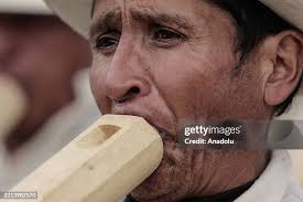 69 Tarca Stock Photos, High-Res Pictures, and Images