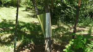 Maybe you would like to learn more about one of these? Protecting Fruit Tree From Raccoons Adventures In Natural Beekeeping