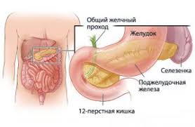 Bolit Podzheludochnaya Zheleza Simptomy I Lechenie Ot Santalen