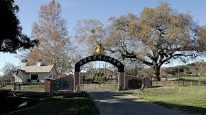La historia de neverland se empezó a escribir en córdoba, argentina en 1976 cuando marcelo periales Gegqyzqafhr0bm