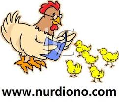 Secara umum dapat melatih daya kreatifitas dan imajinasi anak sehingga dapat mengetahui. Gambar Ayam Dan Anaknya Arina Gambar