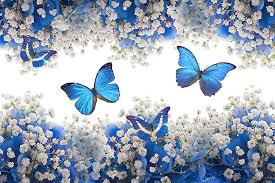 Butterfly and flower wallpapers wallpaper cave. Hd Wallpaper Butterfly Flower Flowering Plant Beauty In Nature Blue Wallpaper Flare