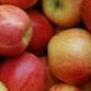 East Hants Farmers' Market - Pop-Up Market (October) event image