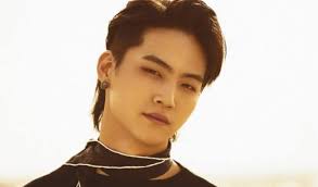 Who doesn't know got7 ? Elderly Woman Has No Idea Who Got7 Jb Is But She Can T Deny That He Is Downright Handsome Kpopmap