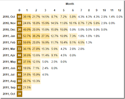 How To Read And Interpret A Cohort Chart Cohort Analysis