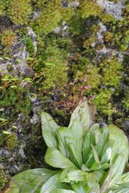 2015_03142015_1Digital0381