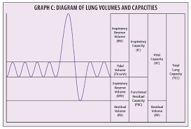 Image result for Pulmonary Function Test