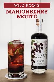 Marionberry Mojito Recipe Marionberry Mojito Vodka Cocktails Recipes