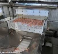 IQF Tunnel Freezer I IQF shrimp | Carsoe