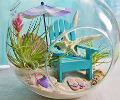 Beach Terrarium Kit 8 Air Plant Terrarium Kit Coastal Living Beach Decor Beach Umbrella Choice Terrariums Kits Beautiful Terrariums Air Plant Terrarium