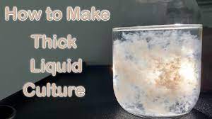 Add karo syrup (1 tblsp) pressure cook 30 min. How To Make Mushroom Liquid Culture Using Light Malt Extract Youtube