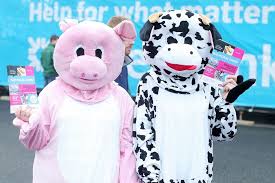 Balmoral Show Results Day 1, 2016