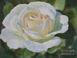 Creamy Rose By Sharon Freeman Watercolor Rose Rose Art Flower Art